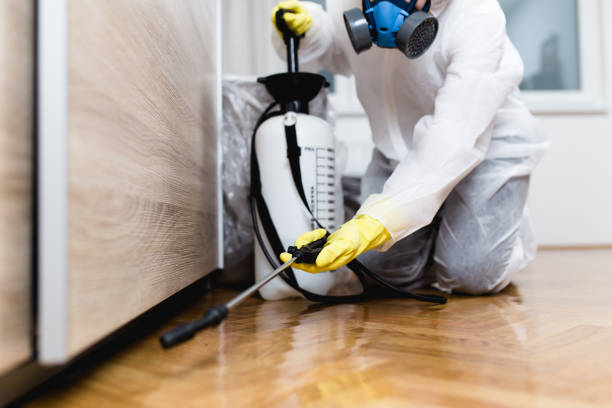 Reliable Ocklawaha, FL Pest Control Solutions