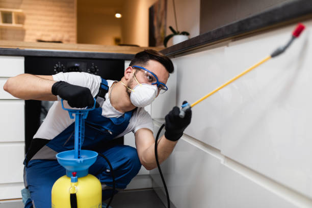 Best Flea Control Services  in Ocklawaha, FL