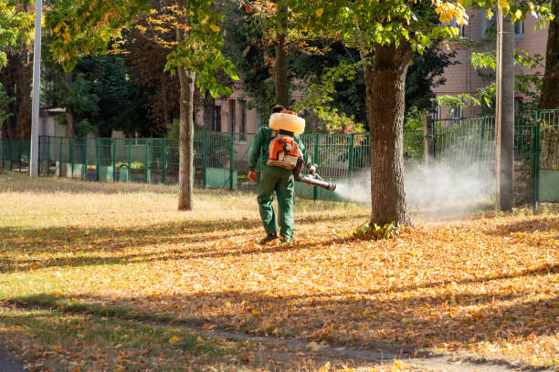 Best Affordable Pest Control Services  in Ocklawaha, FL