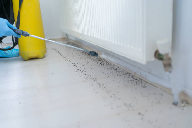 Best Cockroach Control Services  in Ocklawaha, FL