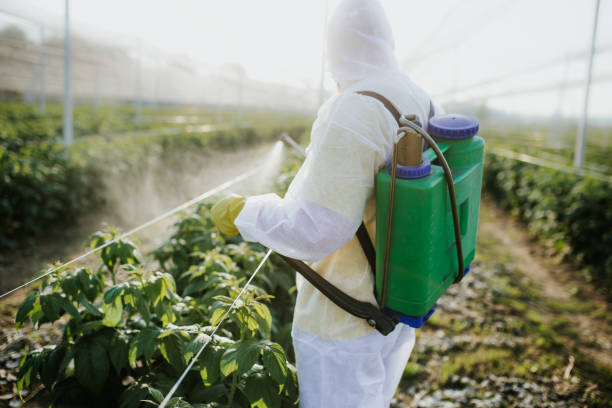 Best Flea Control Services  in Ocklawaha, FL